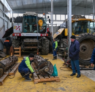 Аграрные новости Кубани